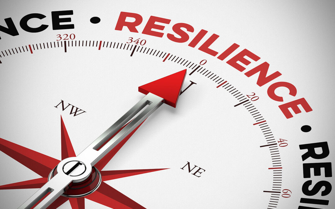 Emotional Resilience: Overcoming Stress in Family Businesses